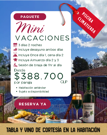 imagen_2025-12-15_122613683